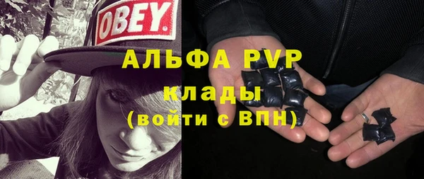 молекула духа Алексин
